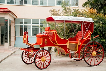 Рикша Карета Royal carriage