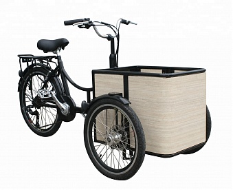Грузовая велорикша Mini Cargo Bike