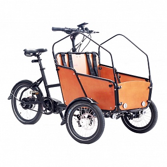 Велорикша для перевозки двоих детей Luxmea С1